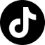 TikTok icon